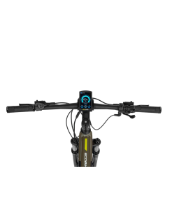 Electric bike Ecobike SX300 green 