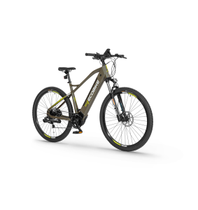 Electric bike Ecobike SX300 green 