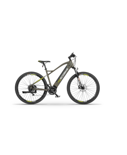 Electric bike Ecobike SX300 green 