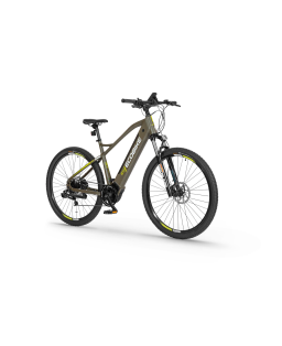 Electric bike Ecobike SX300 green 