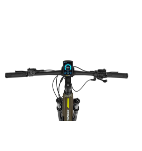 Electric bike Ecobike SX300 green 