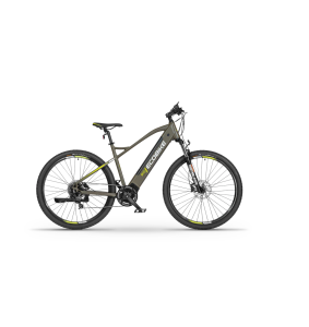 Electric bike Ecobike SX300 green 