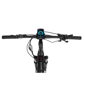 Electric bike Ecobike MX300