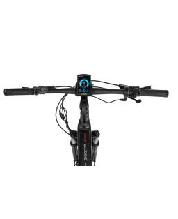 Electric bike Ecobike MX300