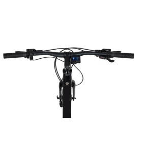 Electric bike Ecobike Urban Arrow