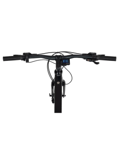 Electric bike Ecobike Urban Arrow
