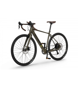 Electric bike Ecobike Forest Arrow