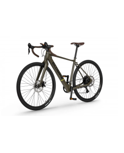 Electric bike Ecobike Forest Arrow