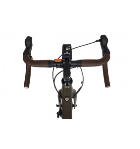 Electric bike Ecobike Forest Arrow