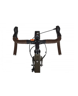 Electric bike Ecobike Forest Arrow