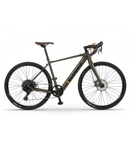 Electric bike Ecobike Forest Arrow